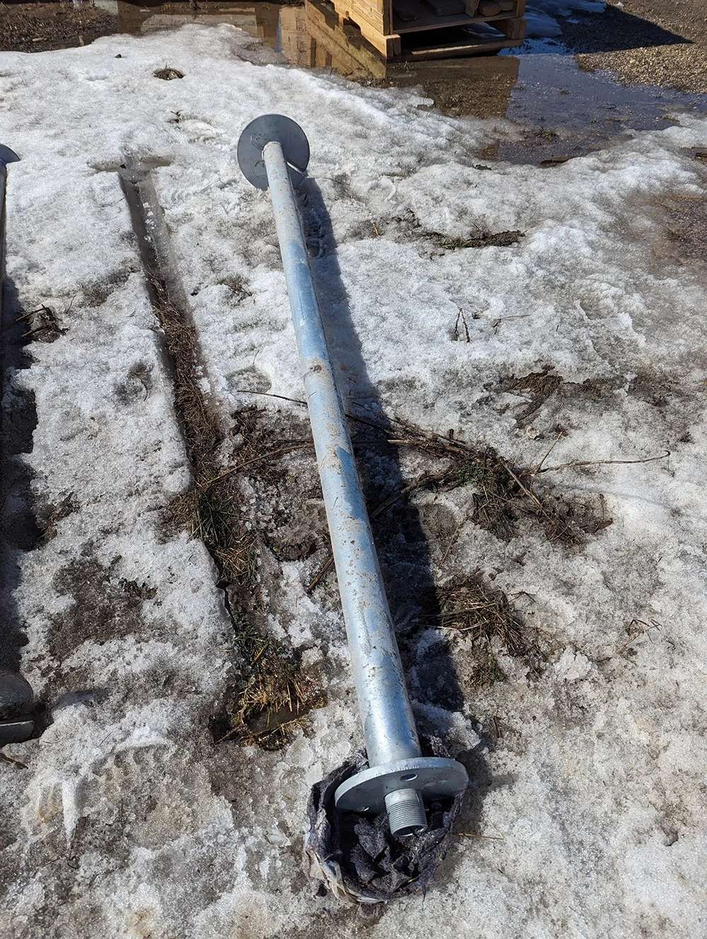 PXL_20240403_190657554